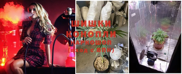 экстази Алзамай